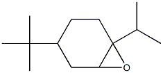 2-[(1,2-Epoxy-4-tert-butylcyclohexan)-1-yl]propane Struktur