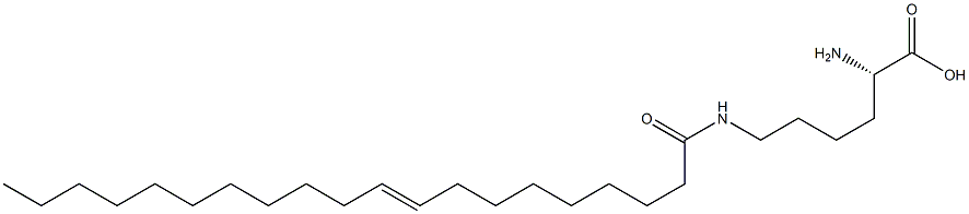 N6-(9-Icosenoyl)lysine|