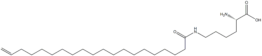 N6-(19-Icosenoyl)lysine Struktur