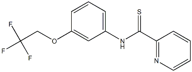 N-[3-(2,2,2-Trifluoroethoxy)phenyl]pyridine-2-carbothioamide 结构式