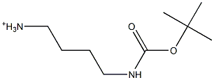 4-(tert-Butoxycarbonylamino)-1-butanaminium