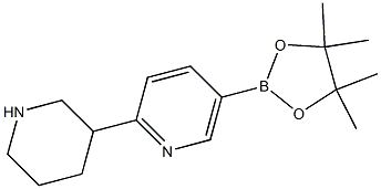 5-(4,4,5,5-tetraMethyl-1,3,2-dioxaborolan-2-yl)-2-(piperidin-3-yl)pyridine,,结构式