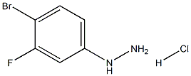 4-bromo-3-fluorophenylhydrazine hydrochloride|4-溴-3-氟苯肼盐酸盐