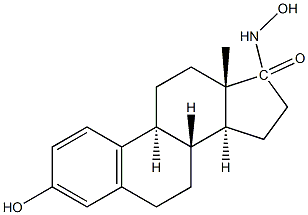 estrone-17-hydroxylamine Structure