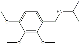 propan-2-yl[(2,3,4-trimethoxyphenyl)methyl]amine|