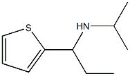 propan-2-yl[1-(thiophen-2-yl)propyl]amine