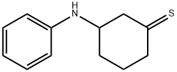 N-phenylthiolan-3-amine Struktur