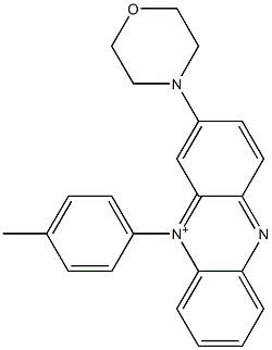 10-(4-methylphenyl)-2-(4-morpholinyl)phenazin-10-ium,1027746-20-8,结构式