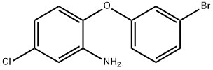2-(3-bromophenoxy)-5-chloroaniline|2-(3-溴苯氧基)-5-氯苯胺