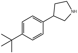 3-(4-tert-butylphenyl)pyrrolidine,112937-98-1,结构式