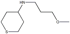 N-(3-methoxypropyl)tetrahydro-2H-thiopyran-4-amine 结构式