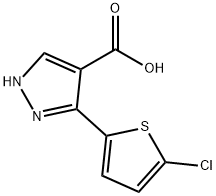 3-(5-氯噻吩-2-基)-1H-吡唑-4-羧酸,1155045-53-6,结构式