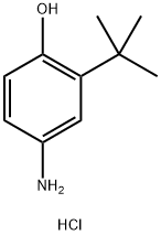 4-amino-2-(tert-butyl)phenol hydrochloride Structure