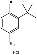 4-amino-2-(tert-butyl)phenol hydrochloride|4-氨基-2-(叔丁基)苯酚盐酸盐