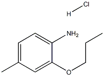 , 1216862-67-7, 结构式