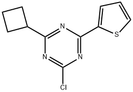 2-Chloro-4-(cyclobutyl)-6-(2-thienyl)-1,3,5-triazine 化学構造式