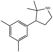 3-(3,5-dimethylphenyl)-2,2-dimethylpyrrolidine 结构式