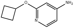 2-环丁氧基吡啶-4-胺 结构式