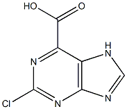 2-chloro-7H-purine-6-carboxylic acid|2-氯-9H-嘌呤-6-羧酸