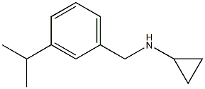 CYCLOPROPYL[3-(METHYLETHYL)PHENYL]METHYLAMINE,1270376-14-1,结构式