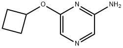 2-Amino-6-cyclobutoxypyrazine Structure