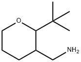 (2-tert-butyloxan-3-yl)methanamine Struktur