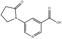 5-(2-氧代吡咯烷-1-基)吡啶-3-羧酸, 1343197-66-9, 结构式