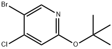 4-Chloro-5-bromo-2-(tert-butoxy)pyridine Struktur