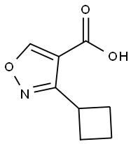 3-cyclobutyl-1,2-oxazole-4-carboxylic acid, 1368343-29-6, 结构式