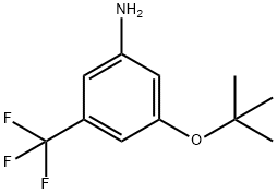 3-(叔丁氧基)-5-三氟甲基苯胺 结构式