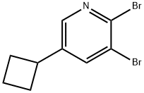 2,3-Dibromo-5-cyclobutylpyridine|2,3-Dibromo-5-cyclobutylpyridine