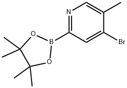 4-Bromo-5-methylpyridine-2-boronic acid pinacol ester Structure