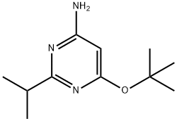 4-Amino-2-(iso-propyl)-6-(tert-butoxy)pyrimidine 化学構造式