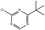 2-(叔丁基)-4-氯-1,3,5-三嗪, 1417517-78-2, 结构式