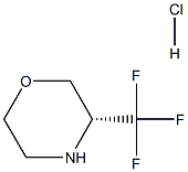 (R)-3-(Trifluoromethyl)morpholine hydrochloride, 1430086-53-5, 结构式
