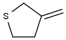3-methylidenethiolane Struktur