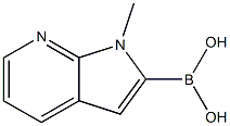 {1-methyl-1H-pyrrolo[2,3-b]pyridin-2-yl}boronic acid Struktur