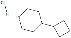 4-cyclobutylpiperidine hydrochloride Structure