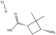 (1S,3R)-3-amino-2,2-dimethylcyclobutane-1-carboxylic acid hydrochloride Struktur