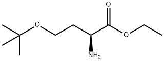 ethyl 2-amino-4-(tert-butoxy)butanoate|乙基 2-氨基-4-(叔-丁氧基)丁酯