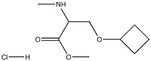 3-环丁氧基-2-(甲氨基)丙酸甲酯盐酸盐,1485749-12-9,结构式