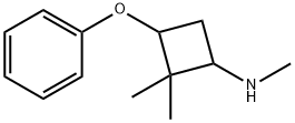 N,2,2-trimethyl-3-phenoxycyclobutan-1-amine 结构式