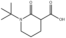 1-tert-butyl-2-oxopiperidine-3-carboxylic acid Structure