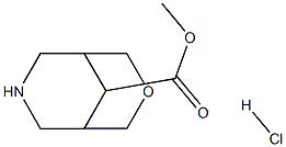 methyl 3-oxa-7-azabicyclo[3.3.1]nonane-9-carboxylate hydrochloride Structure