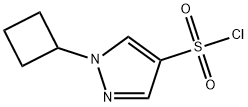 1-cyclobutyl-1H-pyrazole-4-sulfonyl chloride 化学構造式
