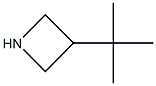 3-tert-butylazetidine 化学構造式