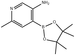 3-Amino-6-methylpyridine-4-boronic acid pinacol ester Struktur