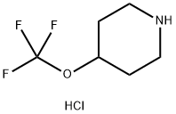 4-(trifluoromethoxy)piperidine hydrochloride Structure