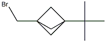 1-(bromomethyl)-3-tert-butylbicyclo[1.1.1]pentane 结构式