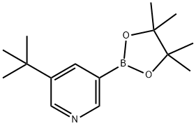 -(叔丁基)-5-(4,4,5,5-四甲基-1,3,2-二氧硼杂环戊烷-2-基)吡啶 结构式